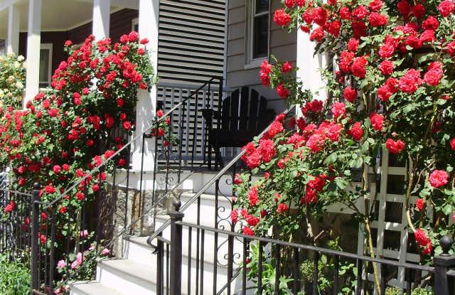 36 Saint Margaret Street photos photos