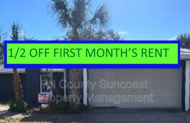 648 16th Ln - 648 16th Lane, Palm Harbor, FL 34683