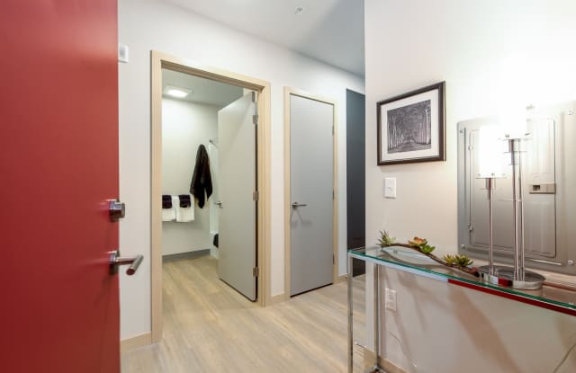 Zephyr Gallery 3