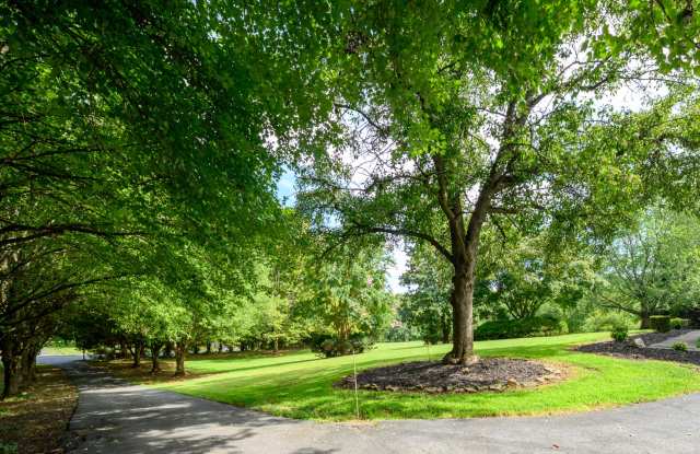 4512 Rutherford Way Gallery 4