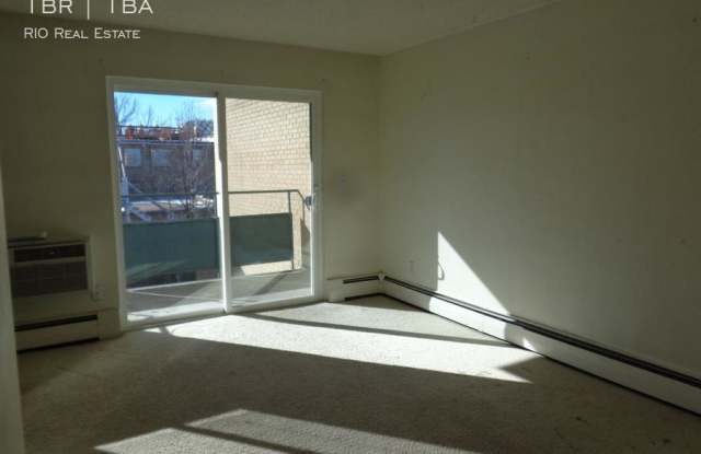 1139 York Street - 1139 York Street, Denver, CO 80206