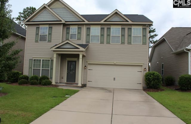 351 Pinnacle Drive - 351 Pinnacle Ridge Drive, Richland County, SC 29229