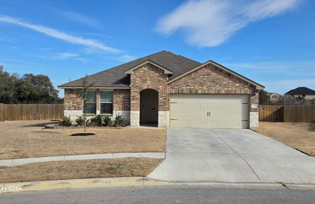 2569 Merganser photos photos