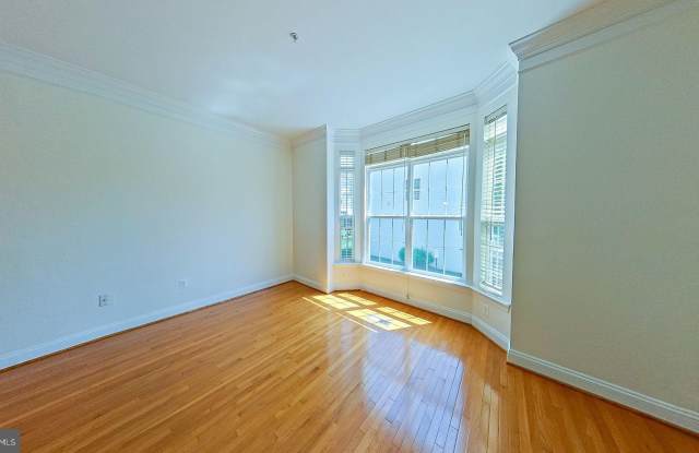 3905 CHELSEA PARK Lane Gallery 4