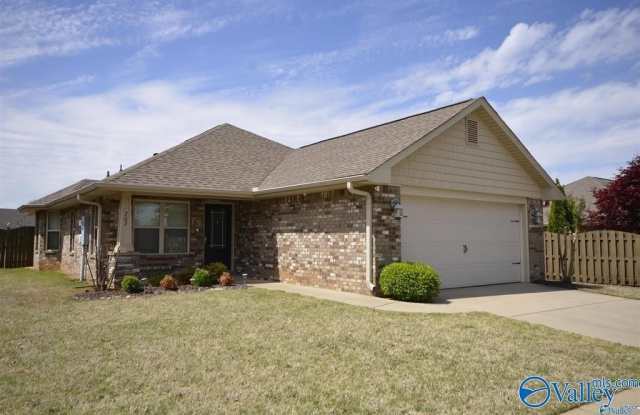 702 Willow Shoals Drive - 702 Willow Shoals Drive Southwest, Huntsville, AL 35756