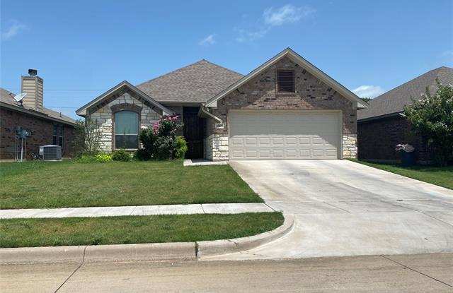 4500 Sapphire Lane - 4500 Sapphire Ln, Granbury, TX 76049