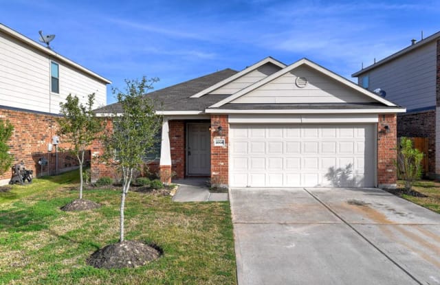 20134 Linden Spruce Lane - 20134 Linden Spruce Ln, Fort Bend County, TX 77407
