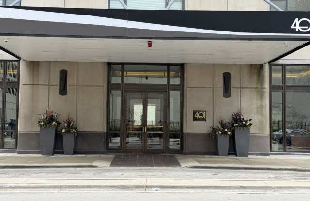 401 E Ontario Street unit: 3010 photos photos