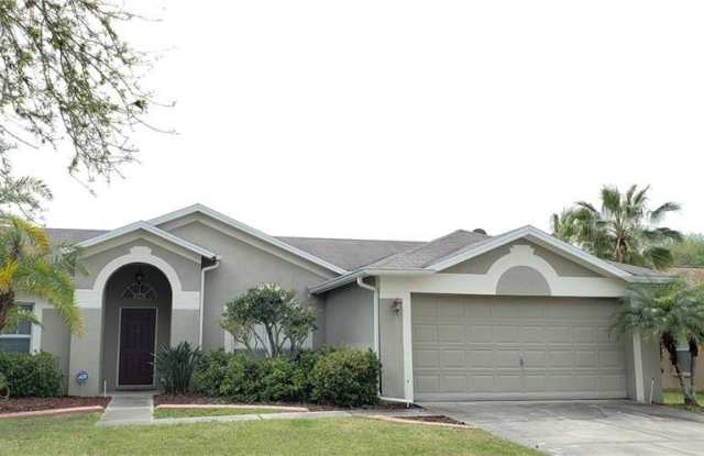10523 DEEPBROOK DRIVE - 10523 Deepbrook Drive, Riverview, FL 33569