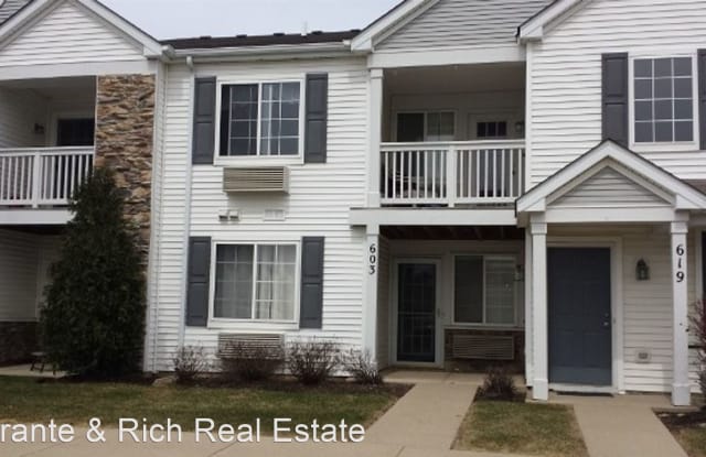 603 Silverstone Drive - 603 Silverstone Dr, Carpentersville, IL 60110