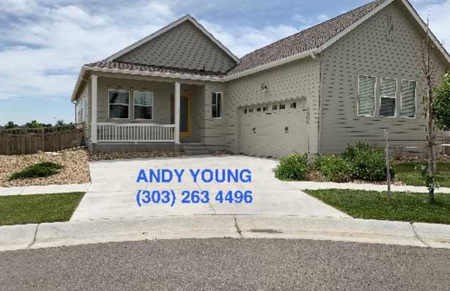 4900 Mt. Shavano St - 4900 Mount Shavano Street, Brighton, CO 80601