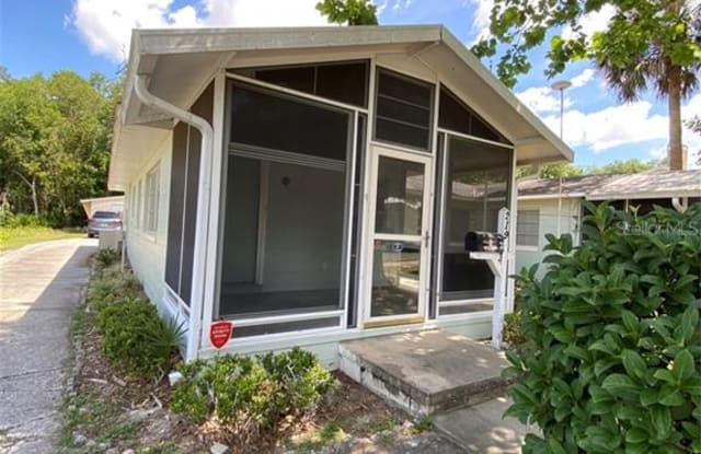 219 E 11TH AVENUE - 219 East 11th Avenue, Mount Dora, FL 32757
