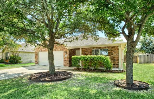 Nice 4/2/2in Ridgewood! - 1020 Downridge Drive, Leander, TX 78641
