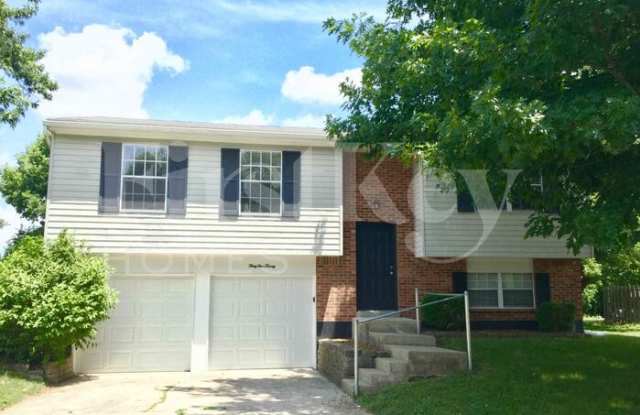 3920 Pinetop Drive photos photos