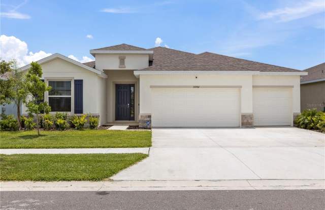 33700 HAMILTON HILL LANE - 33700 Hamilton Hill Lane, Pasco County, FL 33543