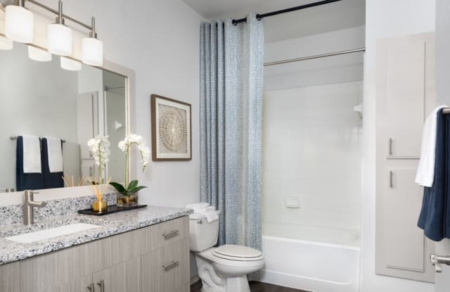 The Ranch Apartments on Parmer Lane Gallery 4
