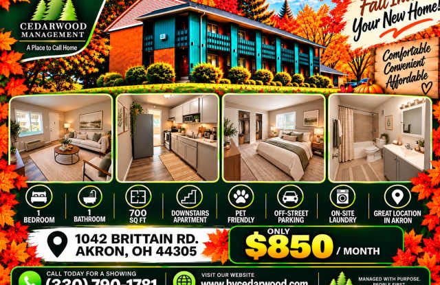 "1 Month Free Rent Promo" Renovated 1 Bedroom & 1 bathroom Apartment Unit in Akron Gallery 1