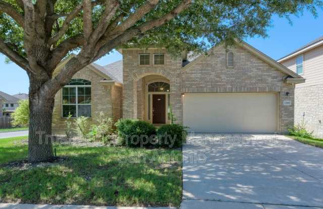 12602 Red Maple photos photos