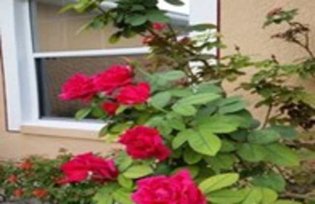 11349 Lakeview Drive Gallery 3