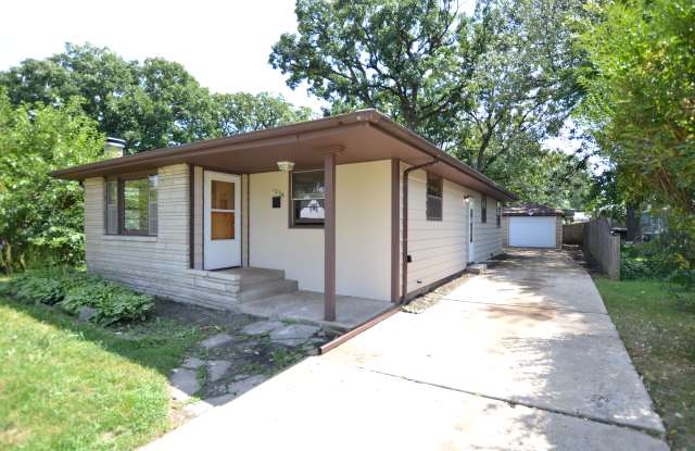 1256 Morgan St - 1256 Morgan Street, Joliet, IL 60436
