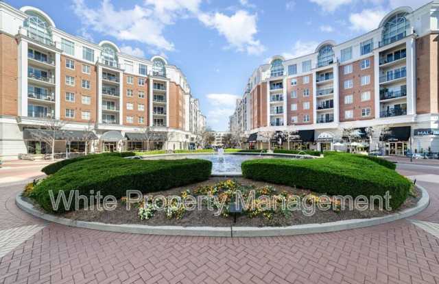 4625 Piedmont Row Drive photos photos