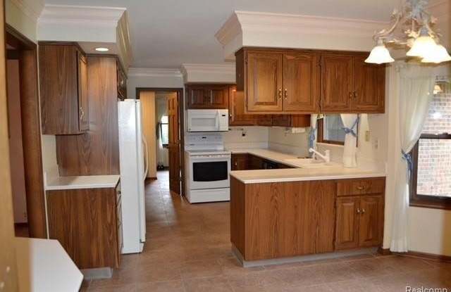 6865 FREDMOOR Drive Gallery 4