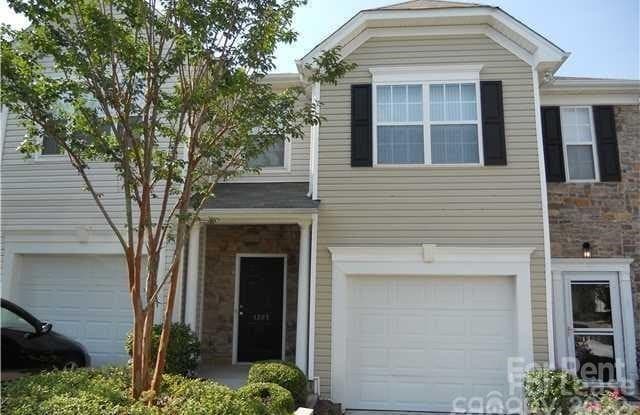 1307 Smokey Quartz Lane - 1307 Smokey Quartz Lane, York County, SC 29708