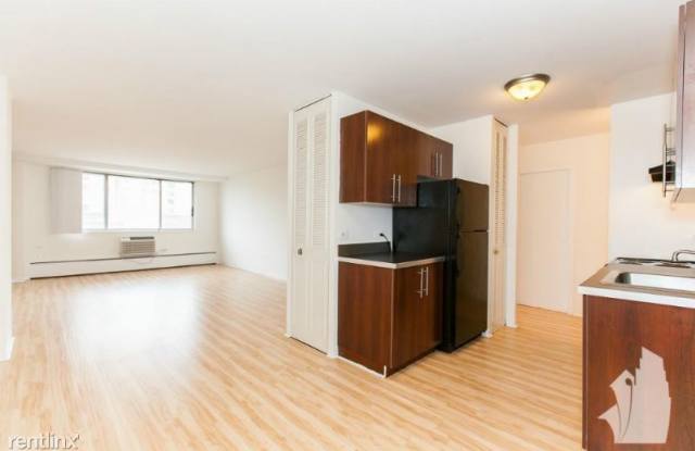 443 W Oakdale Ave 2B - 443 West Oakdale Avenue, Chicago, IL 60657