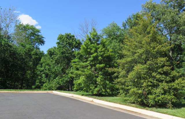 14583 CREEK BRANCH COURT Gallery 2