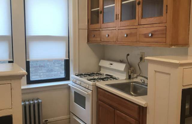 8444 S Ashland Ave - Unit 3B Gallery 4
