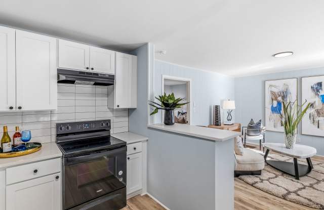 Newly Remodeled 1 Bedroom Apartment Gallery 4