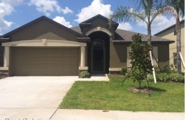 13239 Wellington Drive - 13239 Wellington Hills Drive, Riverview, FL 33579