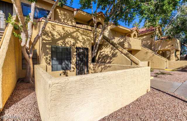 1126 W ELLIOT Road unit: 1024 photos photos