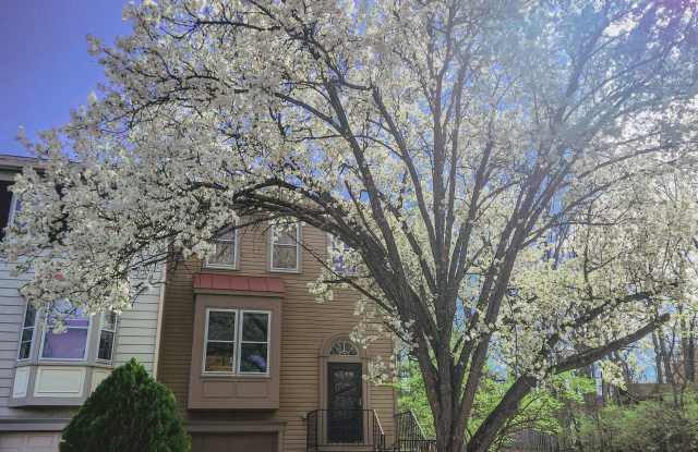 7261 SAINT LUCIA Court photos photos 7261 SAINT LUCIA Court photos photos