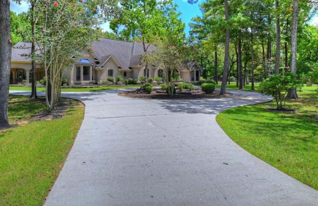 9819 Crestwater Circle - 9819 Crestwater Circle, Montgomery County, TX 77354