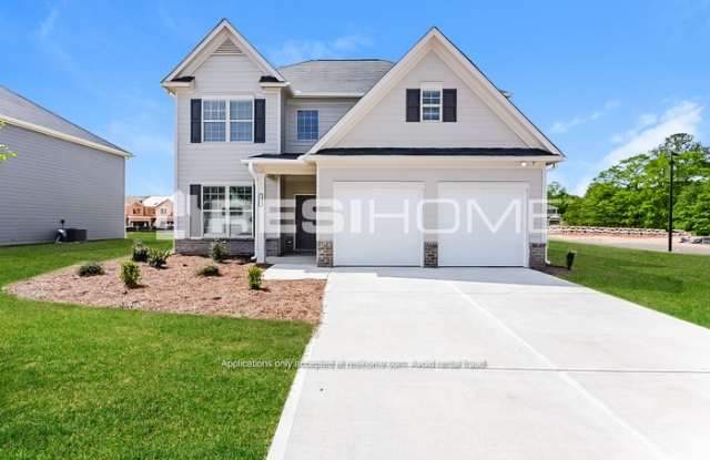 709 Holiday Birch Pass - 709 Holiday Birch Pass, Henry County, GA 30253