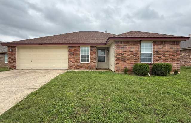 NEW IN MANAGEMENT - COMING SOON! photos photos