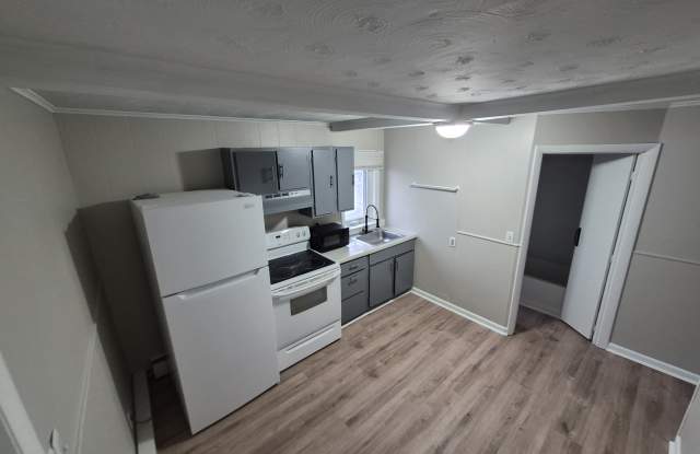 133 Sabattus StreetApt 2R photos photos