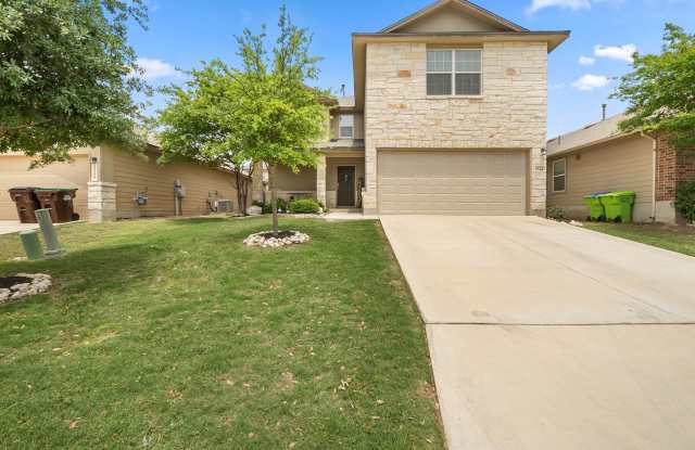 15223 Cinnamon Teal photos photos