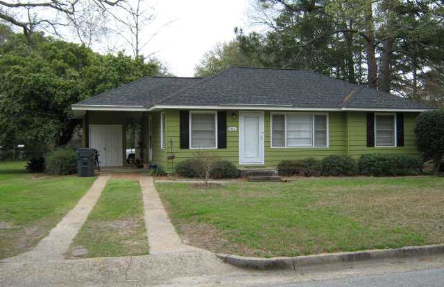 316 Ridgeway Drive - 316 Ridgeway Drive, Americus, GA 31709