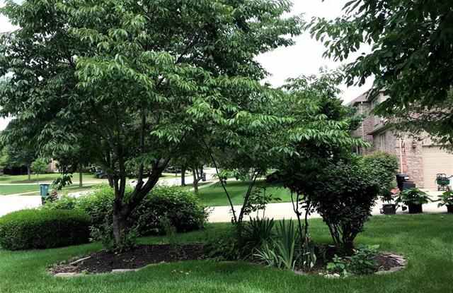 3880 STONE HAVEN Drive Gallery 4