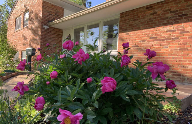 7602 Cosgrove Place - 7602 Cosgrove Place, North Springfield, VA 22151