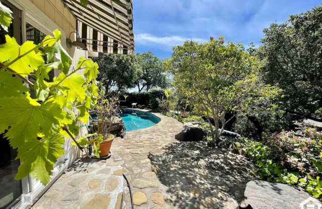 1 Bedroom Guest Suite Apartment with Sweeping Views photos photos