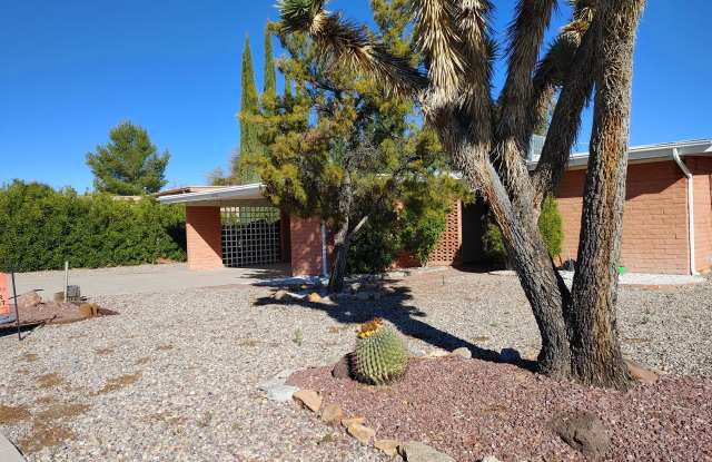 316 West Via Bacanora Gallery 2