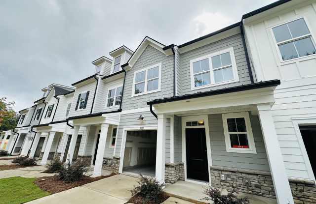 3219 Finchborough Court - 3219 Finchborough Court, Charlotte, NC 28269