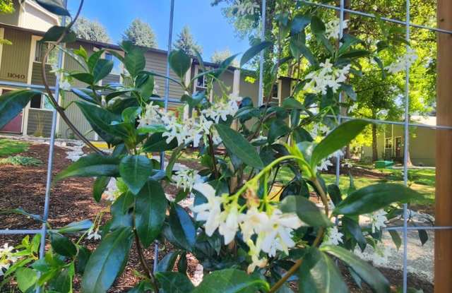 The Vineyards at Gaarde photos photos The Vineyards at Gaarde photos photos