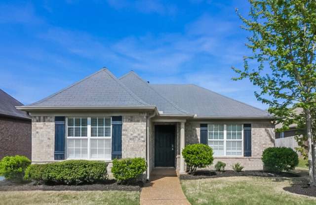 1193 Casentino Street photos photos
