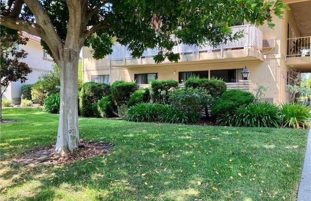 845 RONDA MENDOZA Gallery 2