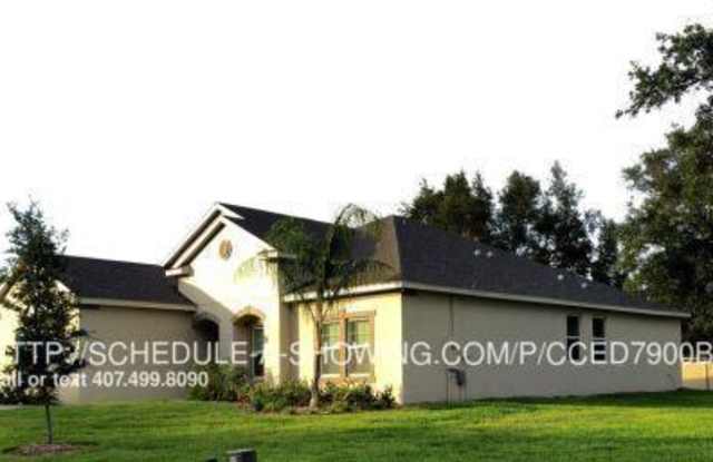 4427 Pine Gold Avenue - 4427 Pine Gold Avenue, Apopka, FL 32712