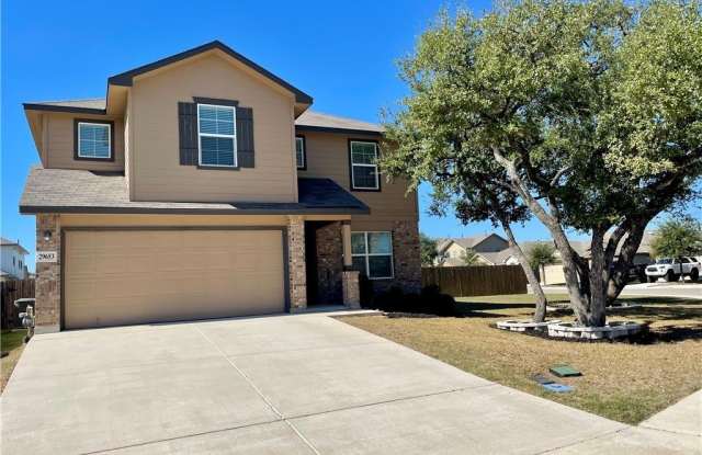 29653 Spring Copper photos photos 29653 Spring Copper photos photos